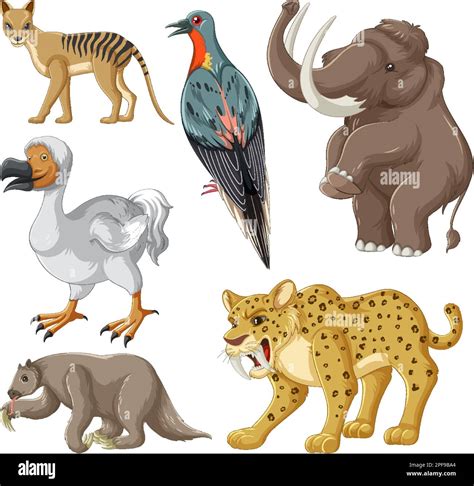 Collection Of Extinct Animals Illustration Stock Vector Image And Art Alamy