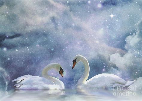 Fantasy Swan And Sky Photograph By Stephanie Laird Pixels