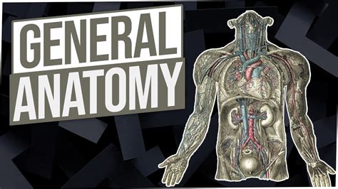 General Anatomy And Physiology Milady Standard Barbering Book Chapter
