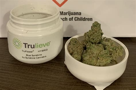 Trulieve X Sunshine Cannabis Truflower Review Blue Sunshine Hybrid