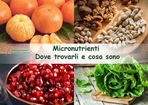 Micronutrienti Dove Trovarli E Cosa Sono Naturopataonline