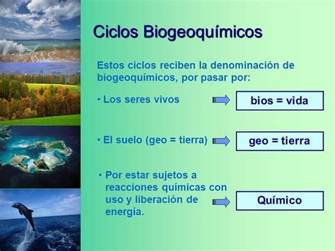 Ciclos Biogeoquímicos Qué Son Y Su Importancia