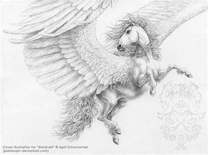 Blackveil Pallanoph Deviantart Drawings Horse Pegasus Coloring