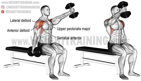 Seated Alternating Dumbbell Front Raise Exercise Instructions And Video