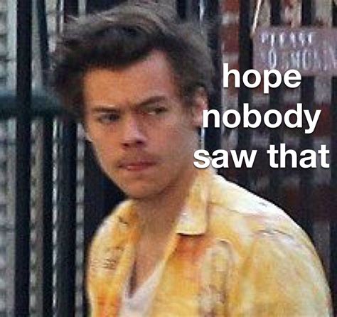 R A D D E S T E L L I E Harry Styles Memes Harry Styles Funny One Direction Memes