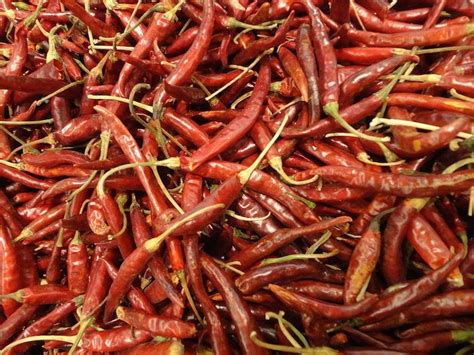 We did not find results for: What's A Good Chile De Àrbol Substitute? - PepperScale