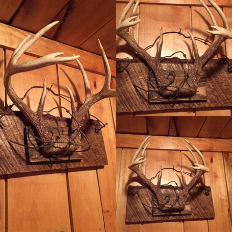 Diy painted antler european mount gold flake. Ruff lumber antler mount, jupe rope, old fence, easy way to make rustic, pretty, and cheap ...