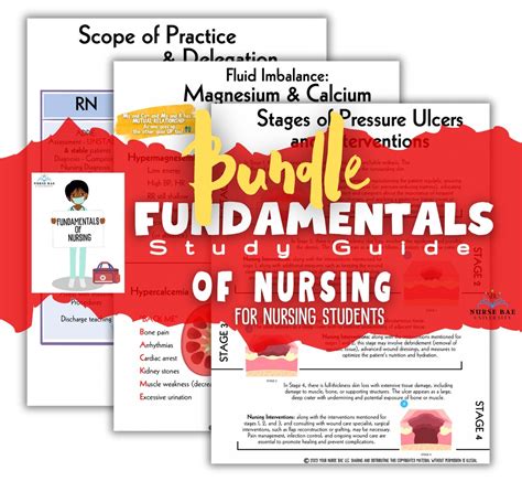 Nursing Fundamentals Study Guide And Nursing Notes Etsy