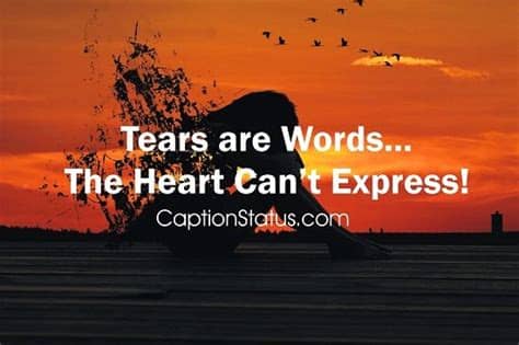 Here you can check the following constantly updated list of whatsapp status and quotes in english 21] love is that state of mind when a karan johar film becomes bearable. Sad Whatsapp Status in English (100 Sad Love Status for ...