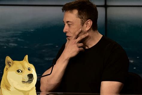 Dogecoin is a joke, a cryptocurrency that originated from a meme and soon will perish owing to that fact. Elon Musk says Dogecoin is his Favorite Cryptocurrency ...