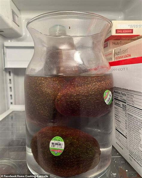 Why You Shouldn T Store Avocados In Water S Chronicles