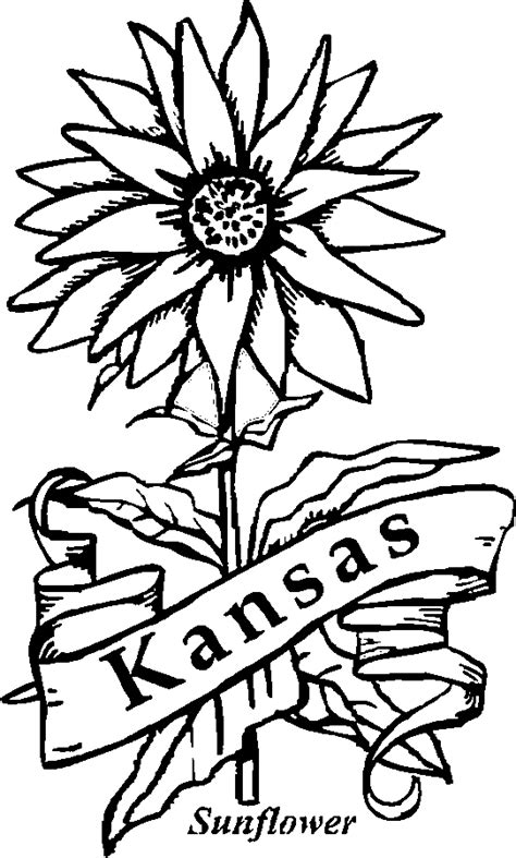State coloring pages for kids online. 50 State Flowers Coloring Pages for Kids
