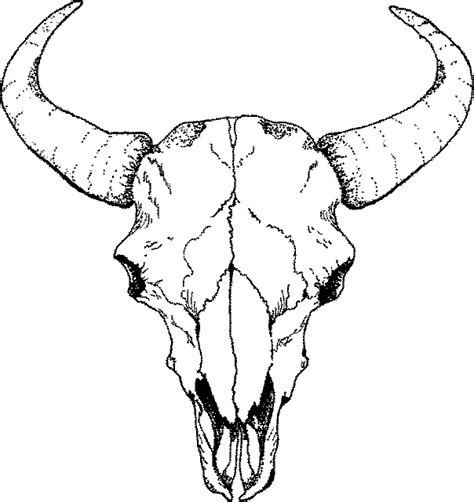 Bull Skull Clipart Black And White Clipart Best