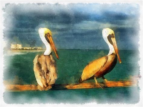 Florida Keys Brown Pelicans Painting By Maciek Froncisz Fine Art America