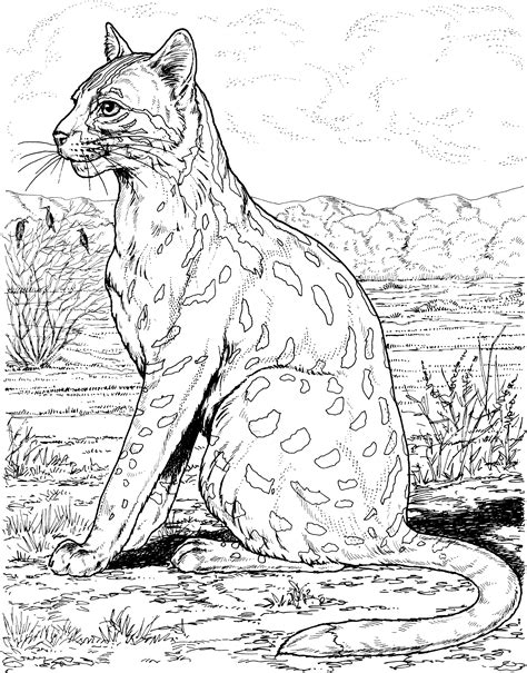 Clouded leopard standing on tree. Free Leopard Coloring Pages