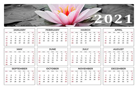 Free download printable may 2021 calendar with us federal holidays, including week numbers, horizontal/vertical layout in ms word (docx), pdf, jpg may 2021 calendar designed on one page, us letter paper size, horizontal and vertical. Pink Lotus Flower: 2021 Calendar 11x17 Printable Template