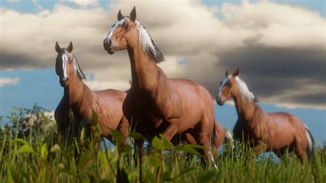 Red Dead Redemption 2 Horse Guide Best Breed Bonding Stables And More