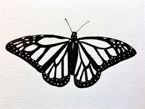 Show them two ovals in the top and bottom wing. Inktober Drawing - Monarch Butterfly | Butterfly drawing ...