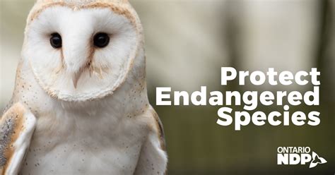 Protect Endangered Species Ontario Ndp