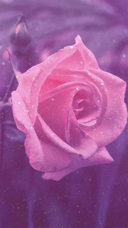 Pink Roses Pretty Rose Glitter Girly Sparkle