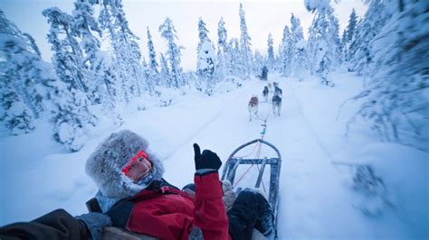 7 Days Dog Sled Adventure Lapland Arctic Friend