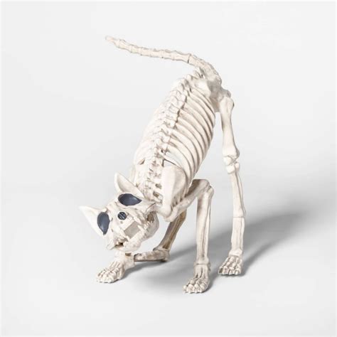 Cat Skeleton Best Target Outdoor Halloween Decorations 2019