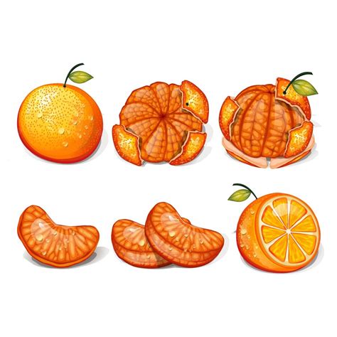 Premium Vector Fresh Orange Tangerine Fruits