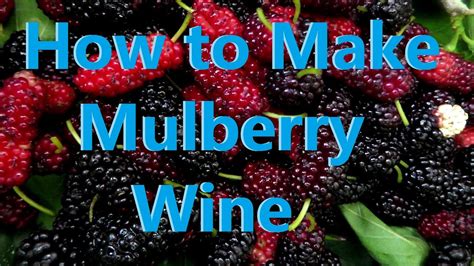 Mulberry Wine Recipe 1 Gallon Find Vegetarian Recipes