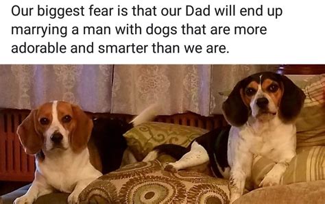 Knock Knock Jokes Biggest Fears Man And Dog Lent Dads Feelings