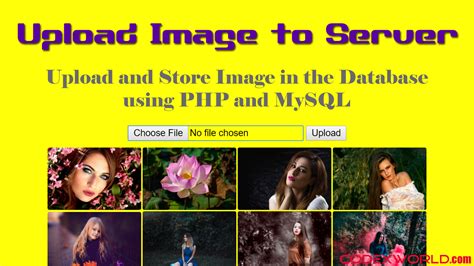 Upload And Store Image File In Database Using Php And Mysql Codexworld