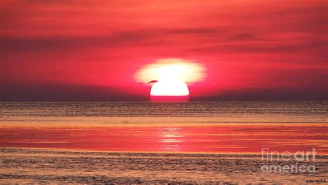 Halo Sunset Photograph By Gina Welch Fine Art America