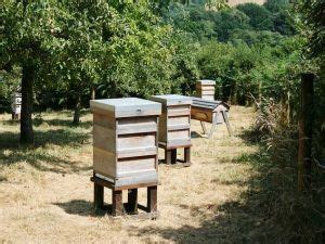 We did not find results for: bienen-im-garten-halten-7 | Bienenzucht im garten, Bienen ...