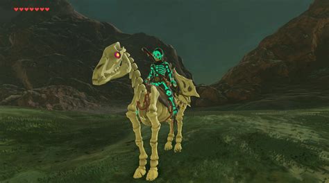 Bestes Pferd Zelda Information Online