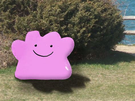 Real Ditto By Mistyblue2010 On Deviantart