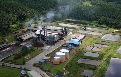 Palm and palm kernel oil production and processing in nigeria isona l. Energy Efficient Palm Oil Mills : VIRIDIS Engineering Sdn Bhd