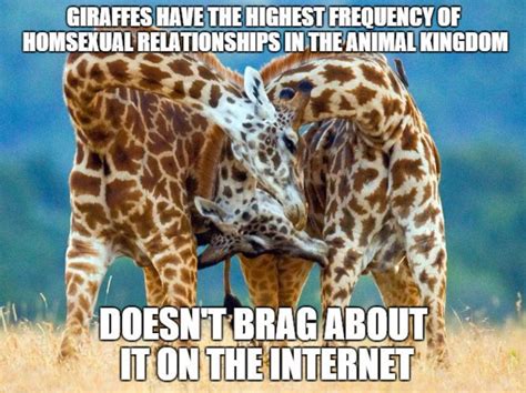 funny giraffe memes funny minions memes