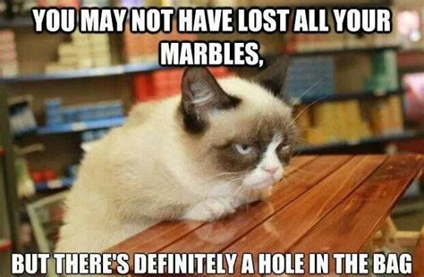 Thats A Good One Ha Ha Grumpy Cat Grumpy Cat Humor Haha Funny