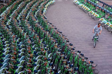 Bicycle Mountain Bicycle Sea Chinese Bicycle Sharing Schemes And
