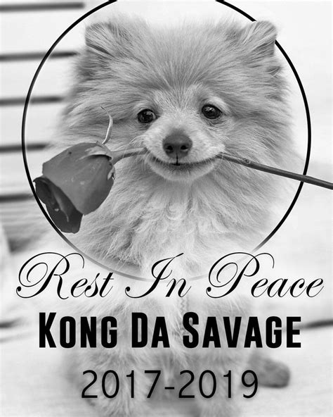 Logan Pauls Dog Kong Da Savage Has Passed Away After