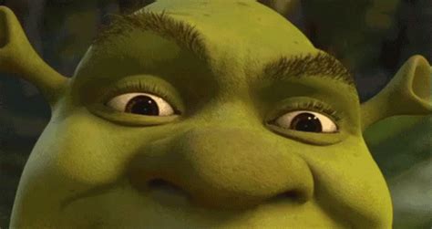 Shrek Shocked Shrek Shocked OhNo Discover Share GIFs Shrek