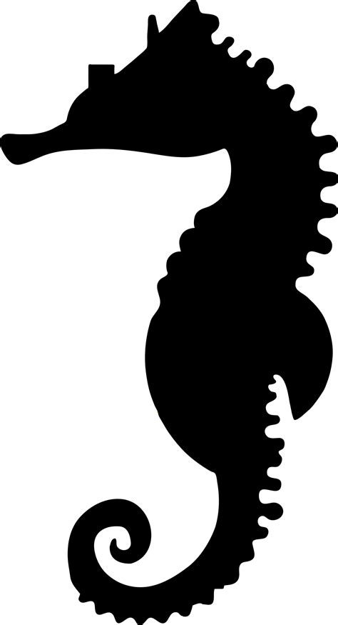 Seahorse Png Transparent Image Download Size 1210x2236px