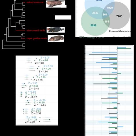 PhyloConverge Can Highlight Segments Of A Conserved Non Coding Element