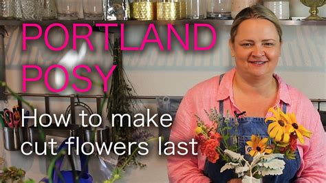 We did not find results for: How to make your cut flowers last - YouTube