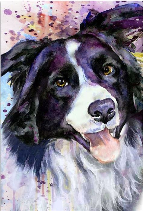 Pin By Debbie Rice On Pets Border Collie Art Dog Art Dog Paintings