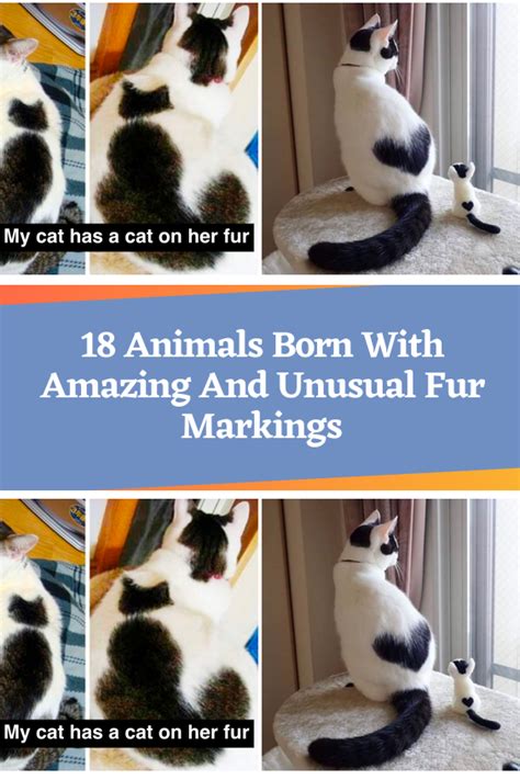 18 Animals Born With Amazing And Unusual Fur Markings Artofit