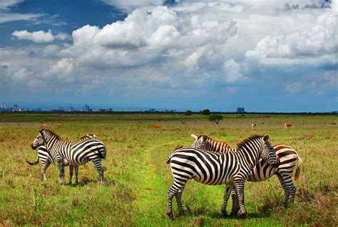 12 Top Rated Tourist Attractions In Nairobi Planetware