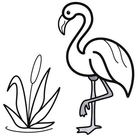 Dibujo De Flamingo Para Colorear Loca Tel