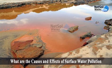What Are The Causes And Effects Of Surface Water Pollution