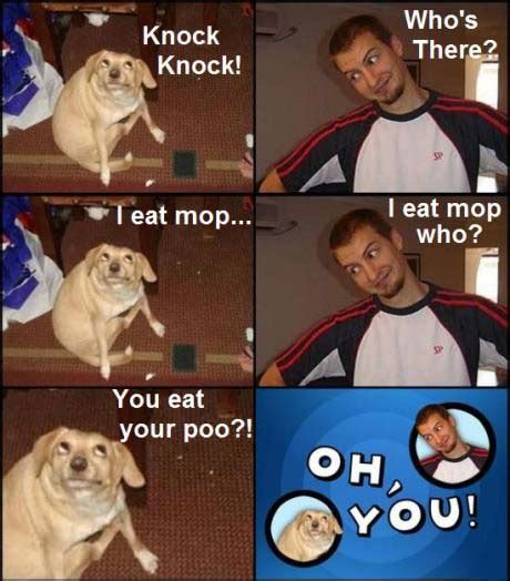 Contact knock knock its meme on messenger. Oh You Dog Meme