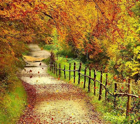 720p Free Download Autumn Path Look Nice Hd Wallpaper Peakpx